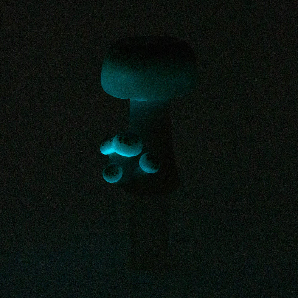 Funglow Bowl Piece - view 4