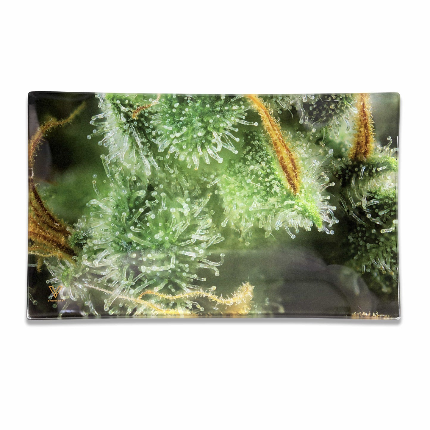 Tricomb Jungle Glass Tray - view 6
