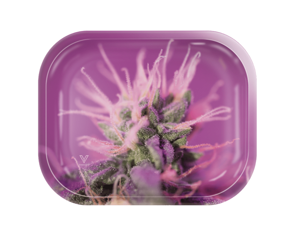 Pink Lemonade Metal Rollin' Tray - East Loud