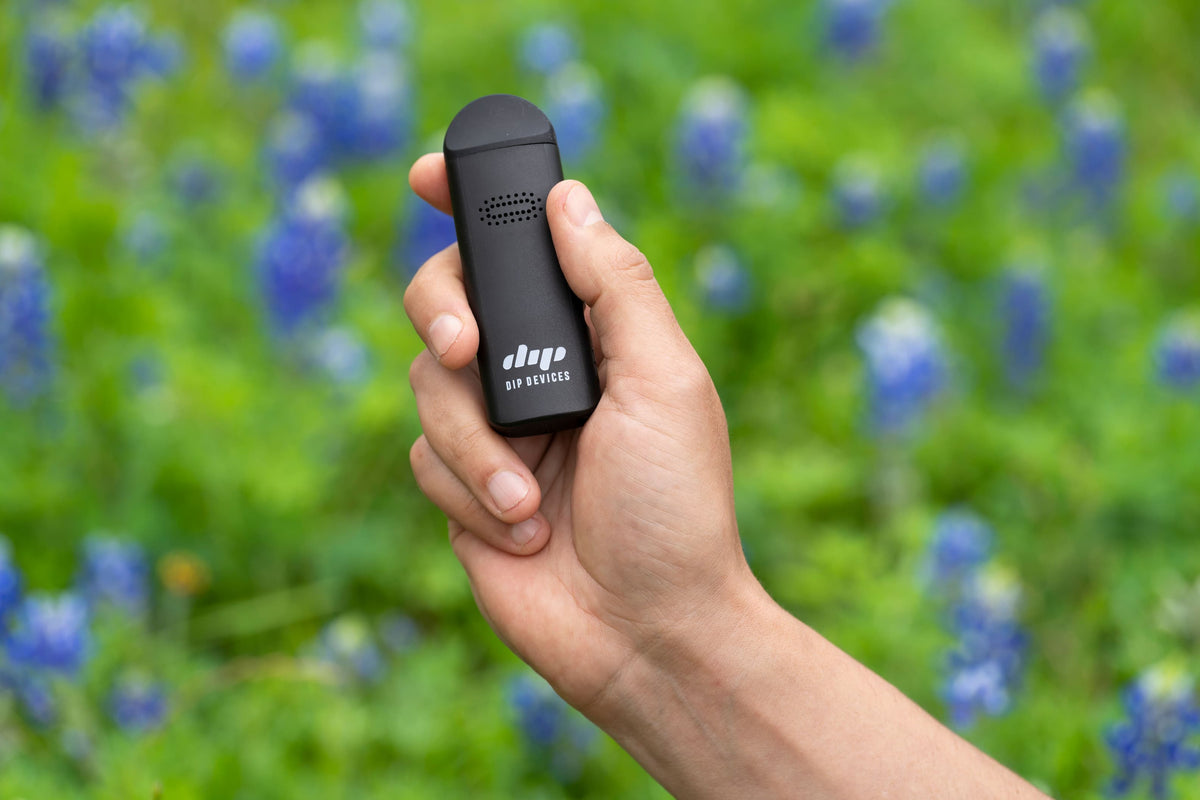 Aster Affordable Dry Herb Vaporizer | Dip Devices