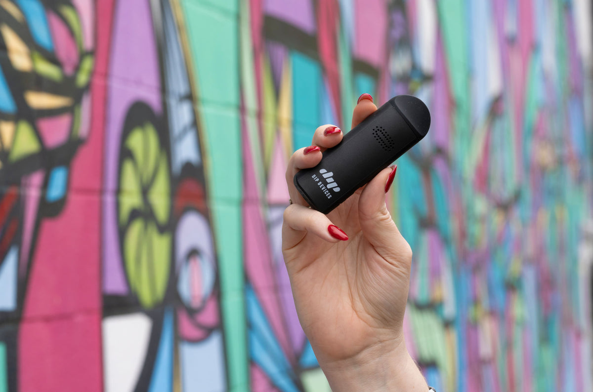 Aster Affordable Dry Herb Vaporizer | Dip Devices