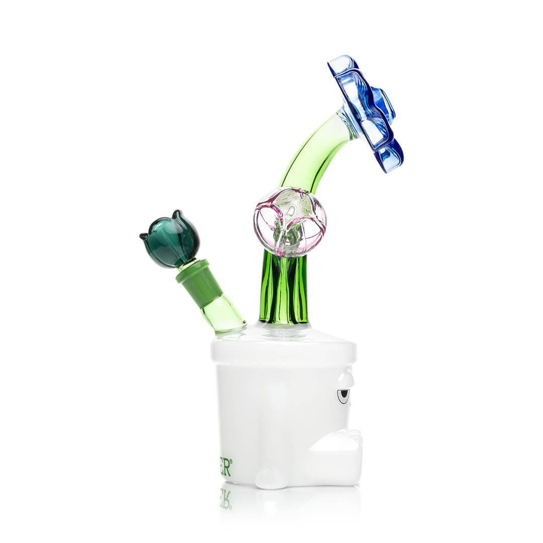 Bloom XL Bong