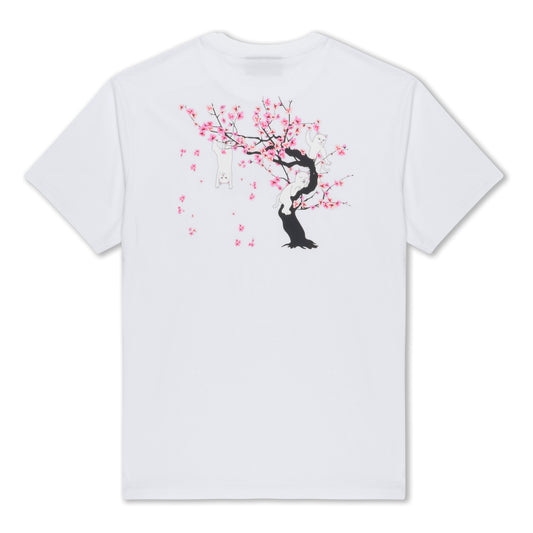 Cherry Blossom Tee (White)