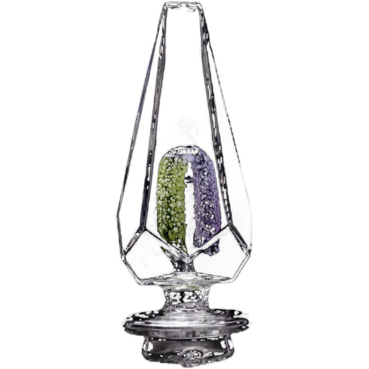 Calibear Crystal Arch Focus V Carta Attachment
