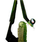 Calibear Colored Glass Crystal Arch Focus V Carta Attachment