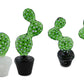 Cactus Pot Glass Pipe