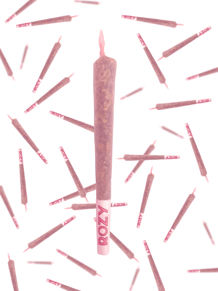 Rozy 1 1/4 Size Pink Cones - 2 Packs of 6
