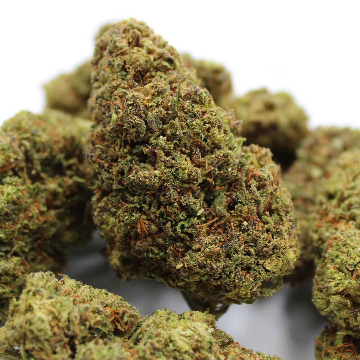Headband (Indoor)