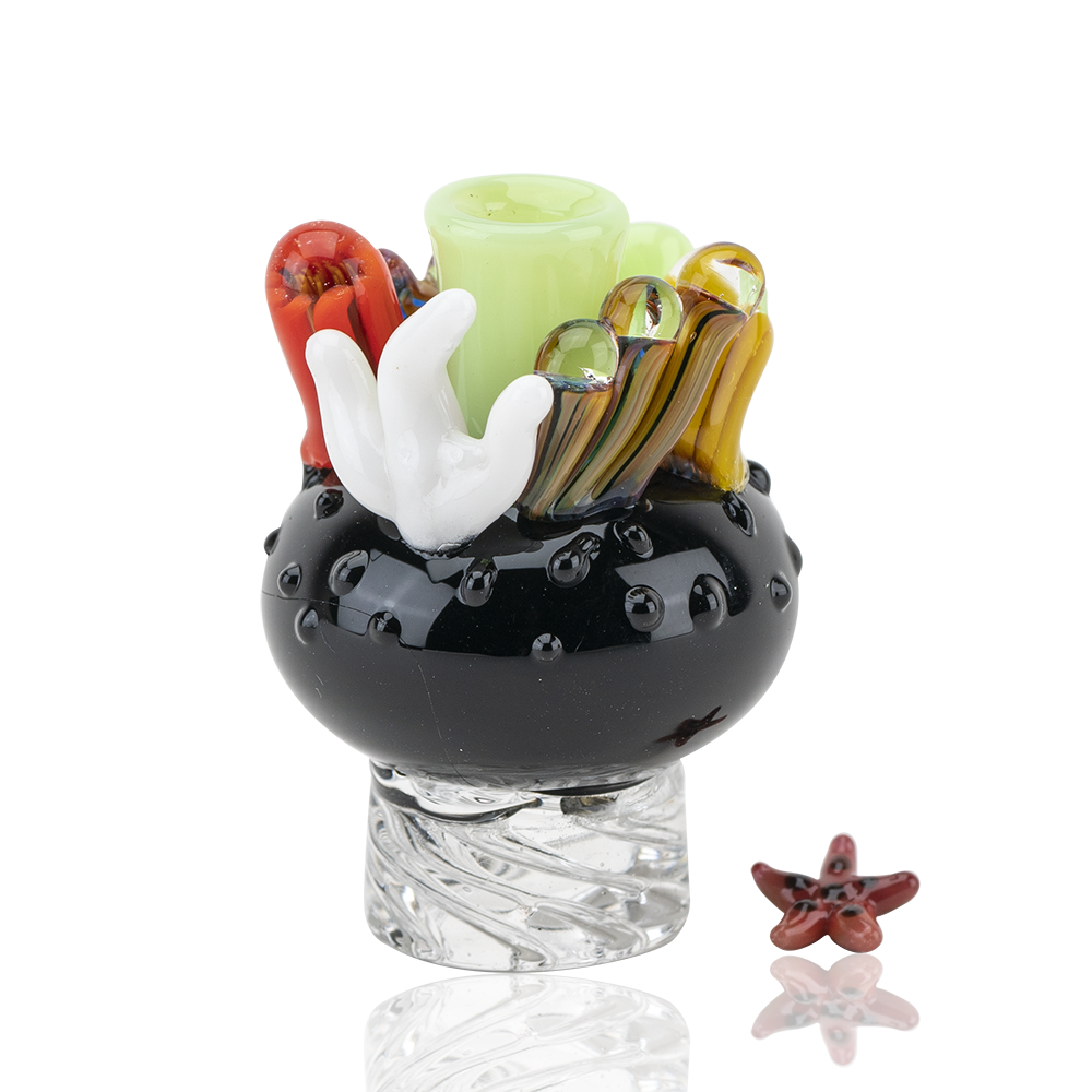 Coral Reef Spinner Cap - East Loud