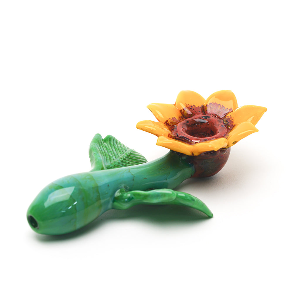 Sunflower Sherlock - view 2