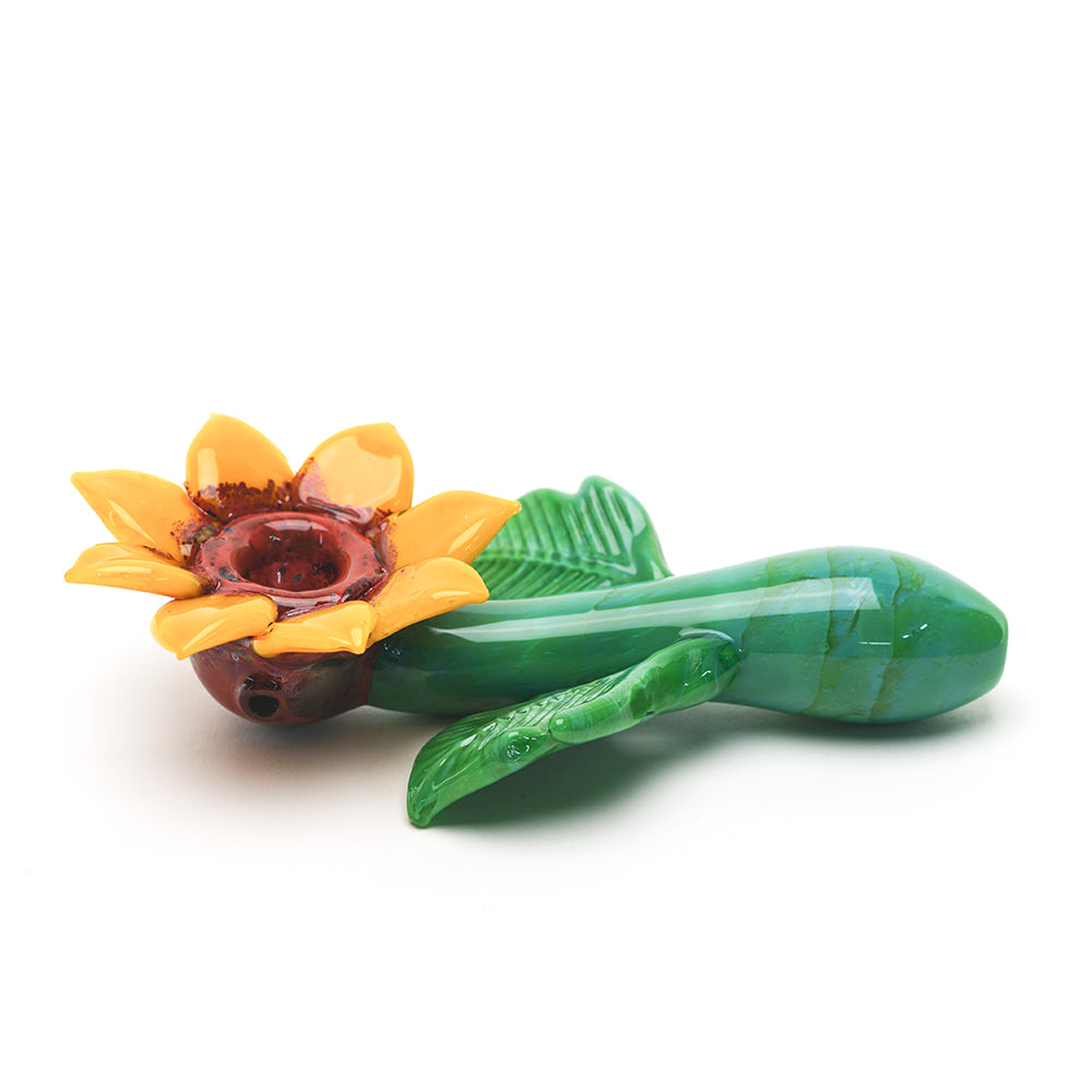 Sunflower Sherlock - view 3