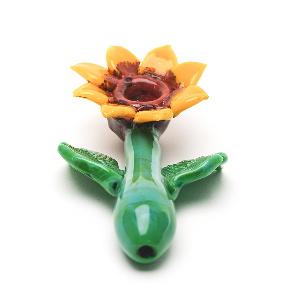 Sunflower Sherlock - view 4