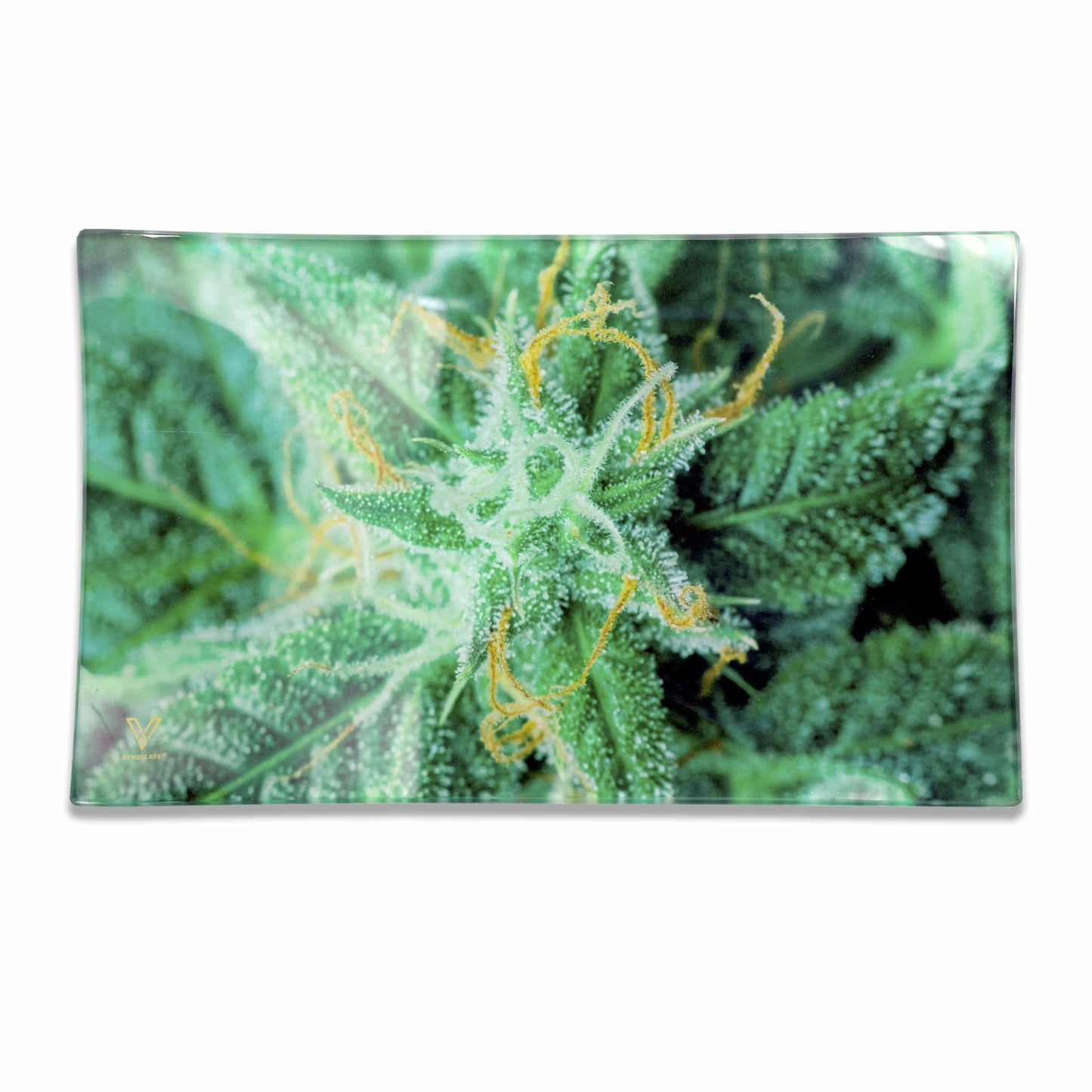 AK 47 Glass Rollin' Tray - view 4