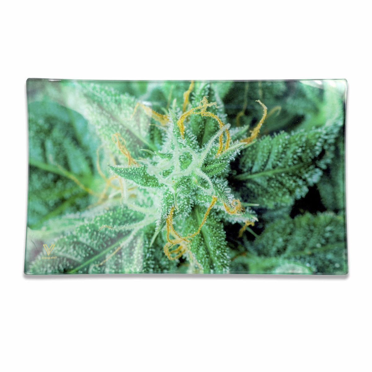 AK 47 Glass Rollin' Tray - view 4