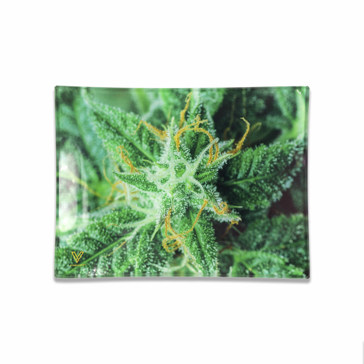 AK 47 Glass Rollin' Tray - East Loud