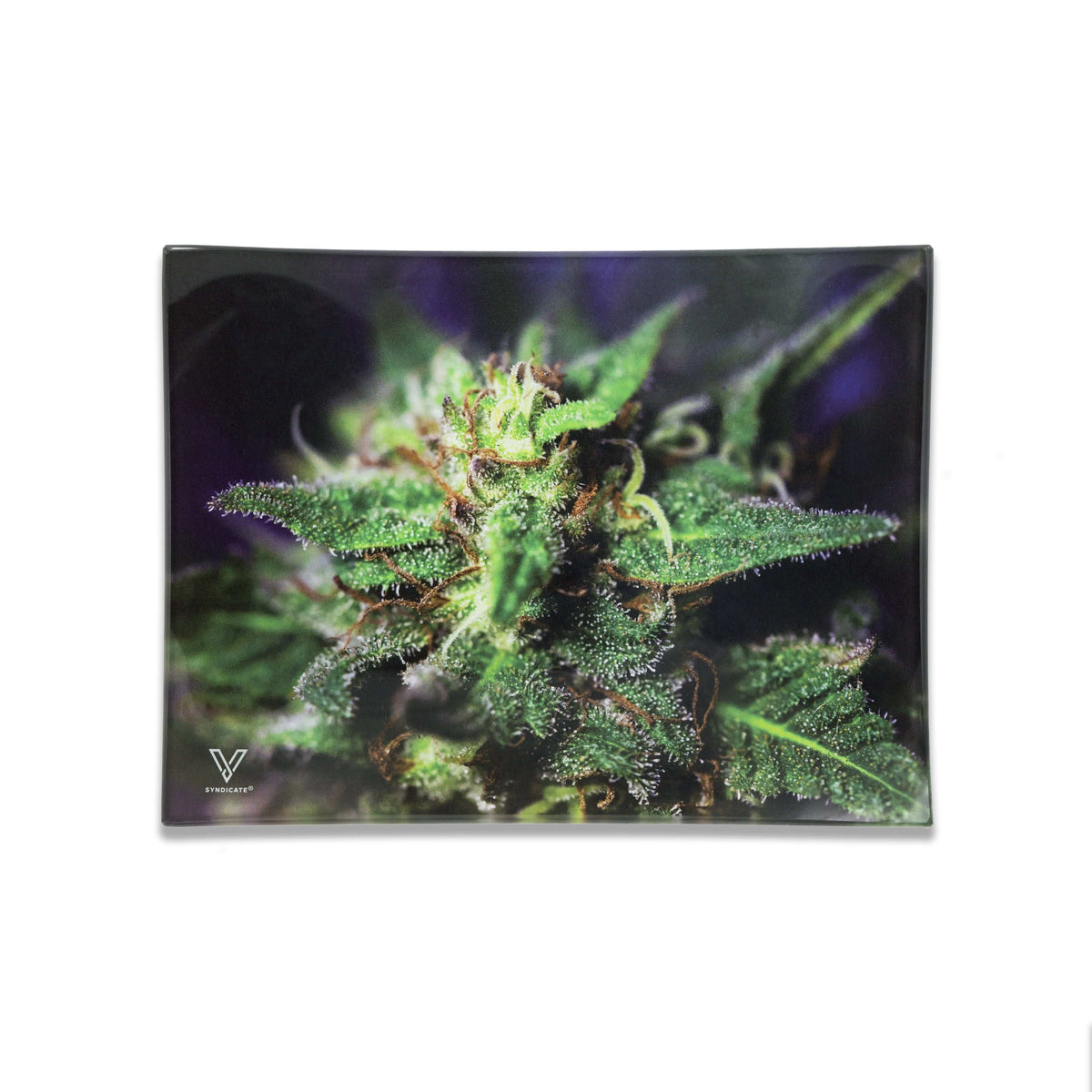 Blue Dream Glass Rollin' Tray - East Loud