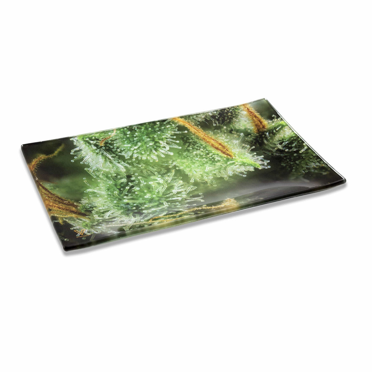 Tricomb Jungle Glass Tray - view 5