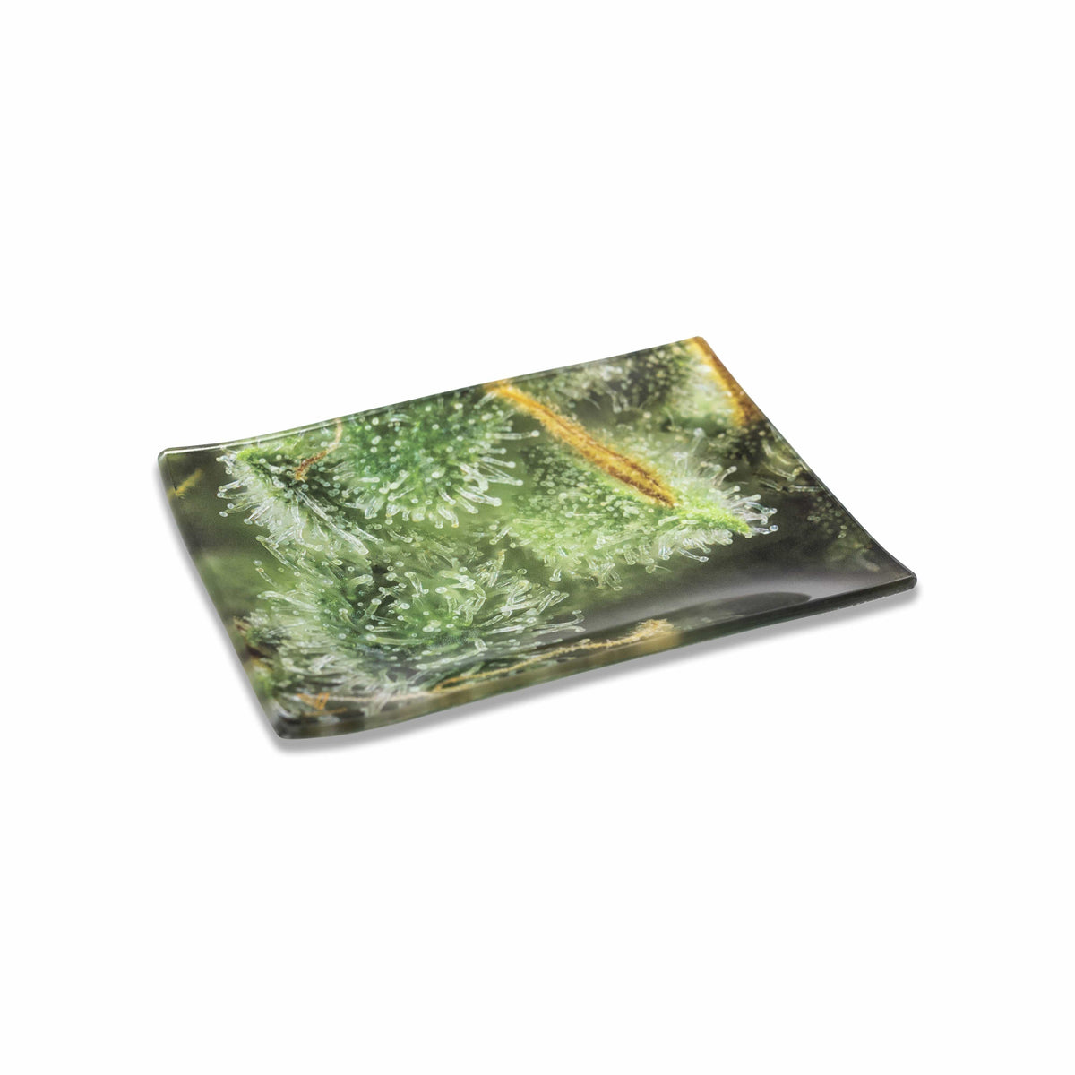 Tricomb Jungle Glass Tray - view 2